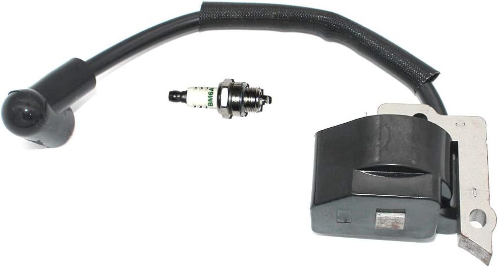 Módulo de encendido EWith Bujía BM6A para Ryobi RY09460 RY13010 RY34000 RY34420 RY34421 RY34440(S430) RY34441 RY64400 FY09440 RY34001 RY34001