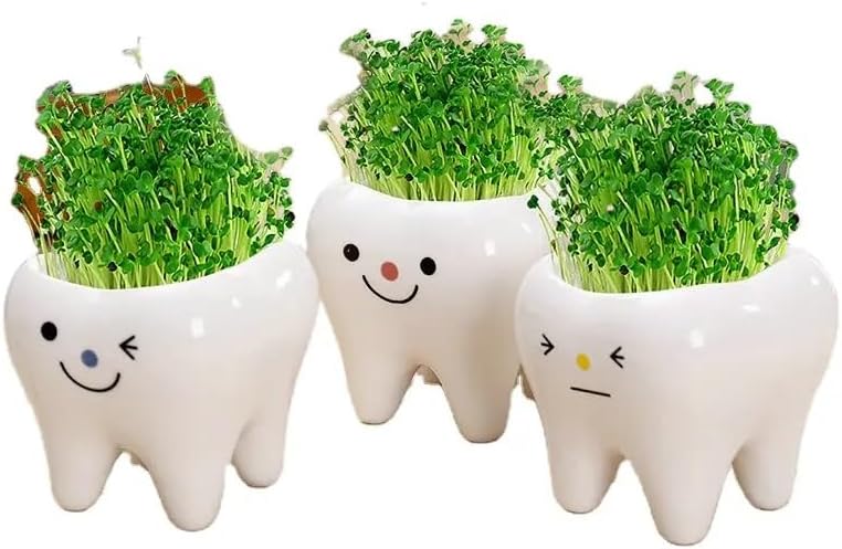 CZ Grain 1 maceta  3 pulgadas  Pequeña maceta de dientes de cerámica para suculentas, bonita decoración para el hogar y la oficina (todas las