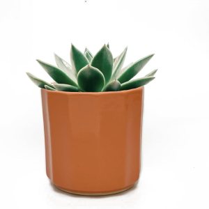 Perilla Home Maceta individual de cerámica hecha a mano para interiores y exteriores con orificio de drenaje para decoración del hogar y la oficina, Perilla Home Maceta individual de cerámica hecha a mano para interiores y exteriores con orificio de drenaje para decoración del hogar y la oficina,