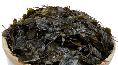 Pure Wild Ilex Pubescens (maodongqing) Hairy Holly Bitter Sweet Leaf Beauty Tea