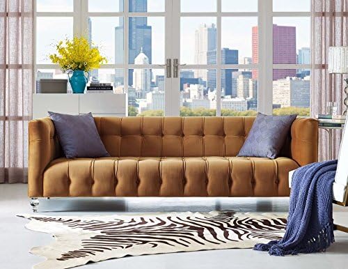 TOV Furniture The Bea Collection – Sofá tapizado de terciopelo de estilo moderno con patas Lucite, coñac