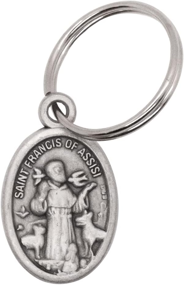 Medalla de San Francisco para mascotas, diseño redondo u ovalado, se fija al collar, correa o jaula de perro o gato, incluye anillo de salto, patrón