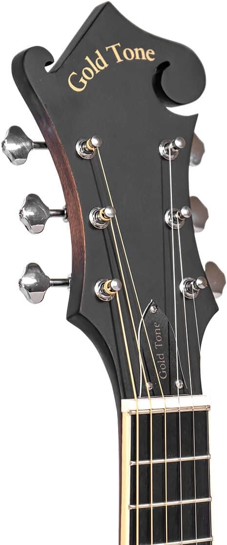 Gold Tone, Mandolina de 6 cuerdas, Sunburst (F-6)
