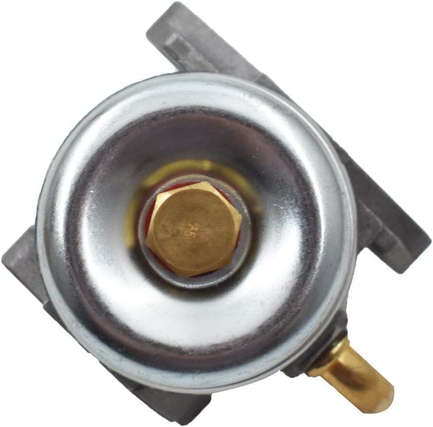 labwork Repuesto de carburador para Briggs & Stratton 696981 698860 694508 795069 698859 790180 790290 693865 697354 698474 791991 69881 0 698 857