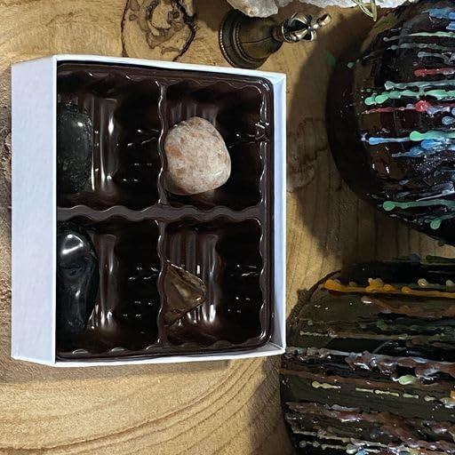 Kit de piedra del zodiaco Leo Healing Atlas! Aprovecha el poder transformador de las piedras, ónix negro, labradorita y madera petrificada. Aumenta