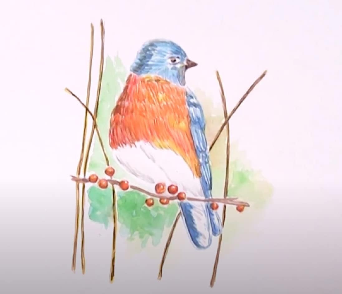 Pelikan Juego de pintura de acuarela y pincel de plástico lavable, 12 colores, 1 cada uno (07501201)