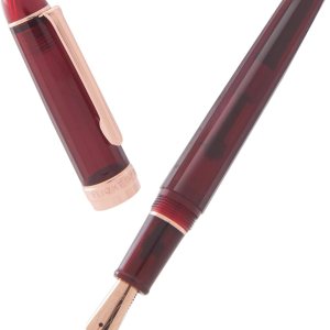 Pluma estilográfica Conversor de tinta transparente de punta fina Smooth Flow Basics Juego de estuche de regalo recargable Pluma estilográfica Conversor de tinta transparente de punta fina Smooth Flow Basics Juego de estuche de regalo recargable