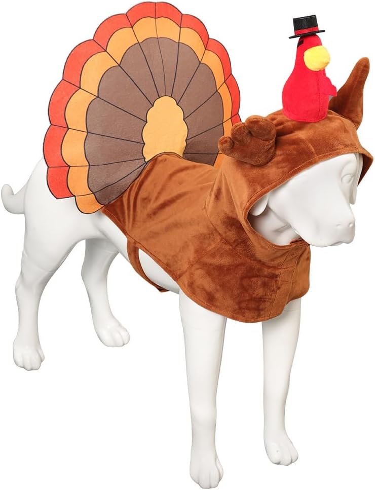 Conjunto de disfraz de Halloween para perro, traje de Acción de Gracias, ropa divertida para mascotas, fiesta de disfraces, juego de rol, carnaval,