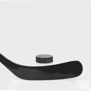 ACE HOCKEY Almohadilla de entrenamiento de hockey para tiro, alfombrilla de hielo sintética que simula la sensación de hielo real, ayuda de ACE HOCKEY Almohadilla de entrenamiento de hockey para tiro, alfombrilla de hielo sintética que simula la sensación de hielo real, ayuda de