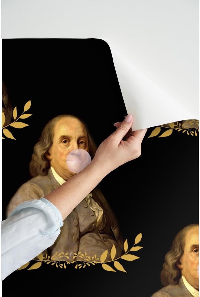 Spoonflower Papel tapiz autoadhesivo de 6 x 2 pies  Benjamin Franklin President Historical Whimsical Bubblegum papel tapiz extraíble personalizado