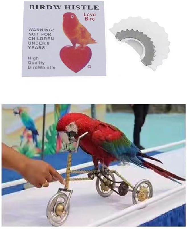 Silbato de pájaro 5 piezas mágico divertido pájaro llamador lengua silbato curruca original magia tweeting juguetes trucos mordaza, 5 colores