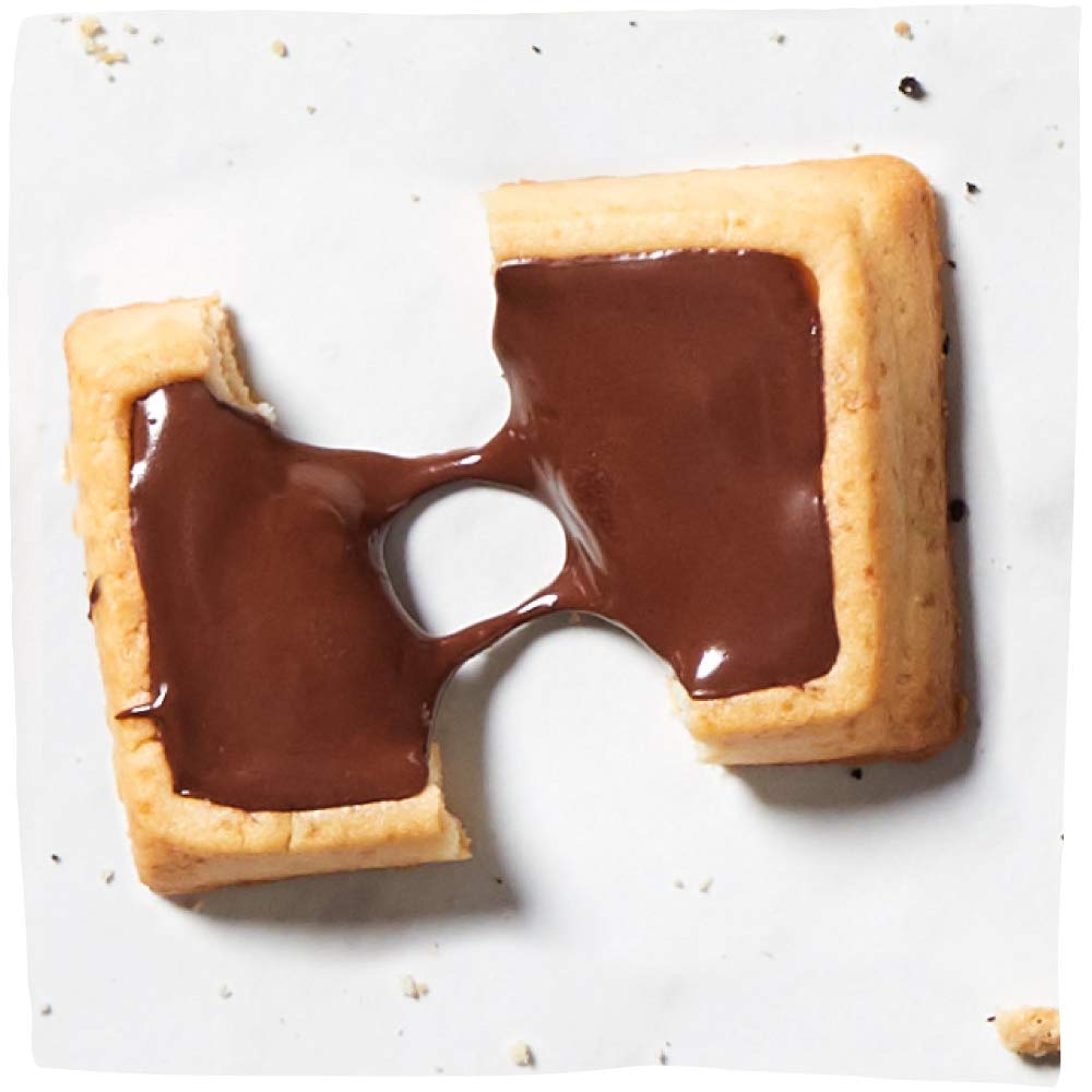 Michel et Augustin Cuadros de galletas de chocolate gourmet  Barras de galletas europeas envueltas individualmente  Chocolate negro y sal marina +