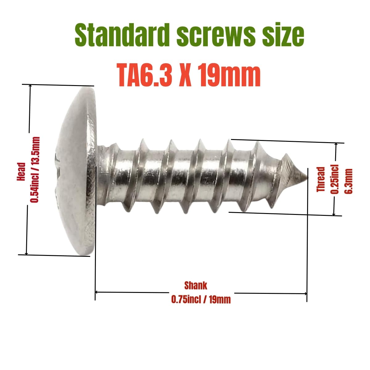 LZLINYJLONG Tornillo para matrícula, tornillos de acero inoxidable con inserciones de nailon, tornillos de matrícula con acabado inoxidable (paquete