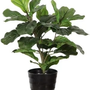 23.6-Inch Mini Artificial Fiddle Leaf Fig Plant Realistic IndoorOutdoor Faux Ficus Lyrata Tree in Pot, Premium Quality, All-Year Green Home Office 23.6-Inch Mini Artificial Fiddle Leaf Fig Plant Realistic IndoorOutdoor Faux Ficus Lyrata Tree in Pot, Premium Quality, All-Year Green Home Office