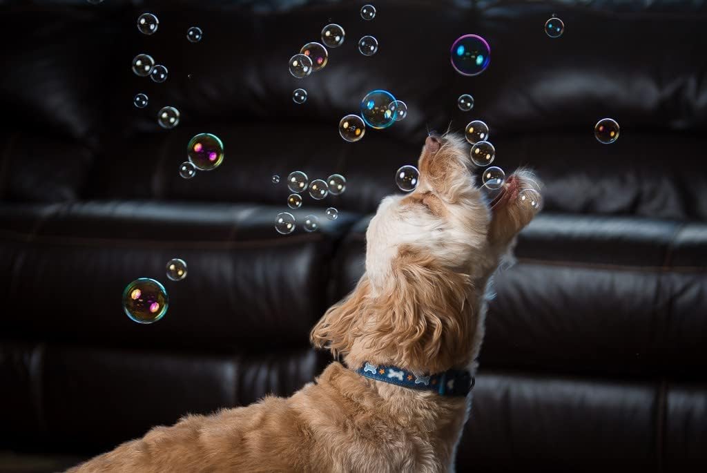 Puppy Love Bubbles, burbujas perfumadas de mantequilla de maní de 4 onzas, paquete de 2 botellas con sabor a mantequilla de maní para perros