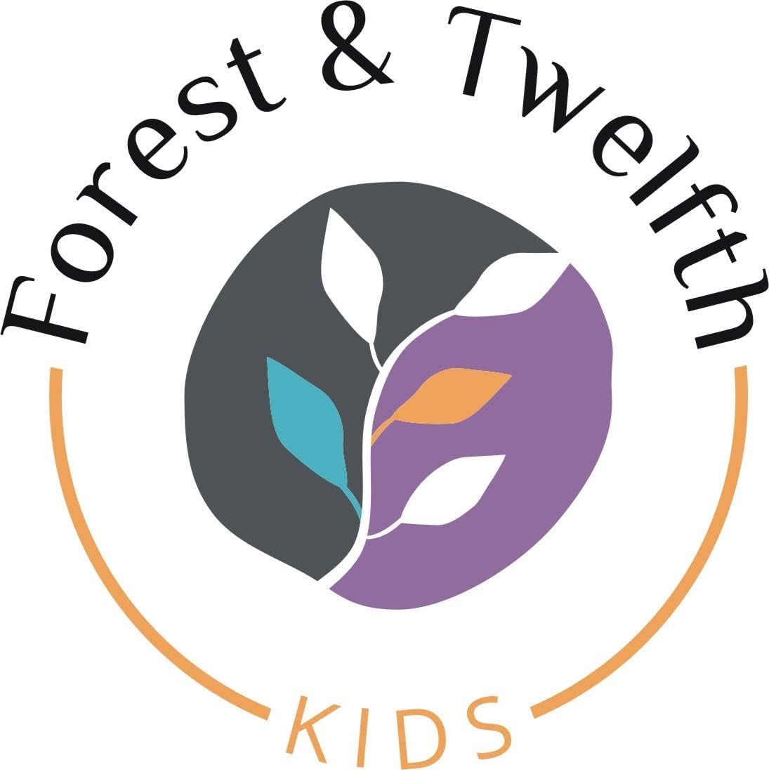 Forest & Twelfth Cebra de peluche, mini juguete de peluche para niños, recuerdos de fiesta de safari y bolsas de golosinas, premios de caja del