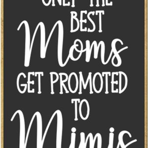 Honey Dew Gifts, Only The Best Moms Get Promoted to Mimis, 2.5 x 3.5 pulgadas, fabricado en Estados Unidos, imanes de refrigerador, imanes de Honey Dew Gifts, Only The Best Moms Get Promoted to Mimis, 2.5 x 3.5 pulgadas, fabricado en Estados Unidos, imanes de refrigerador, imanes de