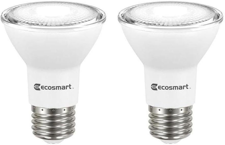 50W LED PAR20 5000K 2PK
