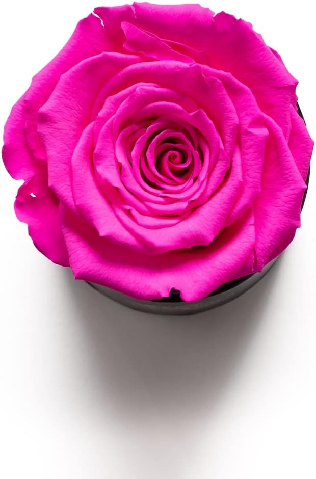Soho Floral Arts Rosas para mejores amigas  Rosas genuinas que duran años  Regalo de mejor amiga para mujeres, regalo de amistad  Flores para