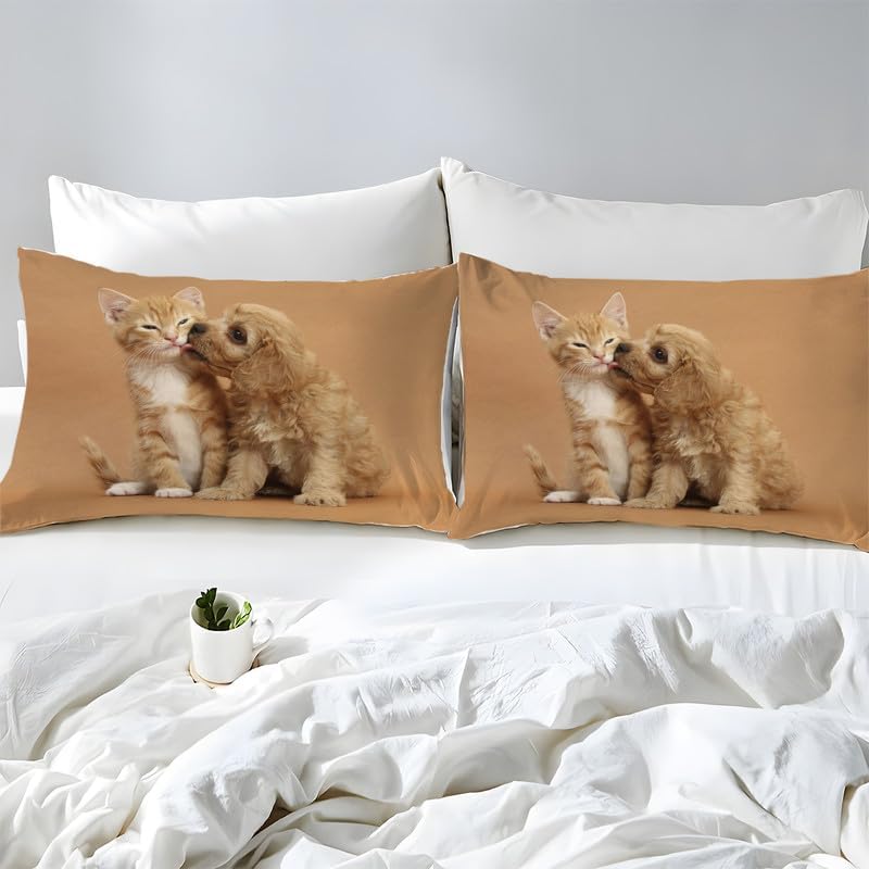 Juego de funda de edredón tamaño individual con estampado de animales y gato naranja, funda de edredón de microfibra suave y 2 fundas de almohada de