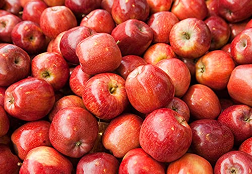 Kejora Manzana fresca Gala 3 LB