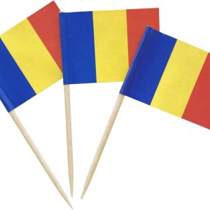 100 piezas de bandera rumana palillos de dientes rumanos banderas selecciones de cóctel 100 piezas de bandera rumana palillos de dientes rumanos banderas selecciones de cóctel