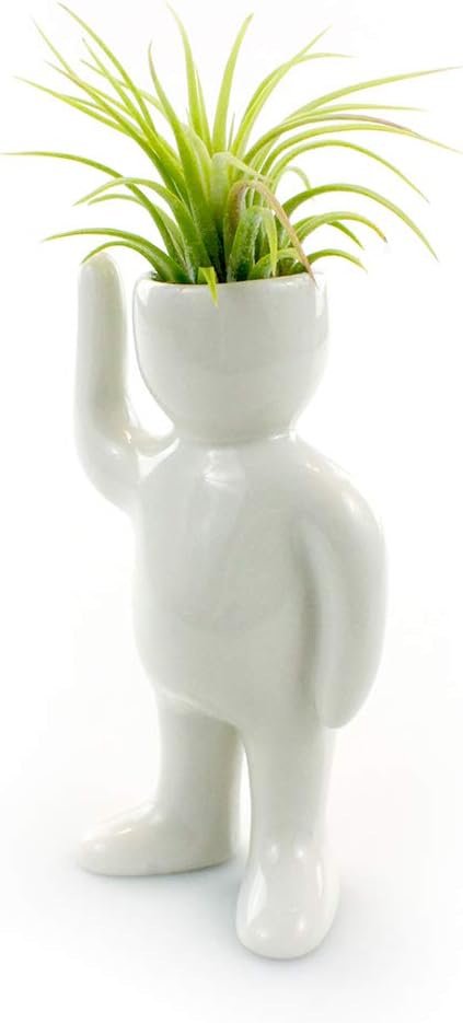 NW Wholesaler Maceta en forma de persona de cerámica blanca de 4.75 pulgadas con planta de aire Tillandsia viva, plantas de aire de interior en
