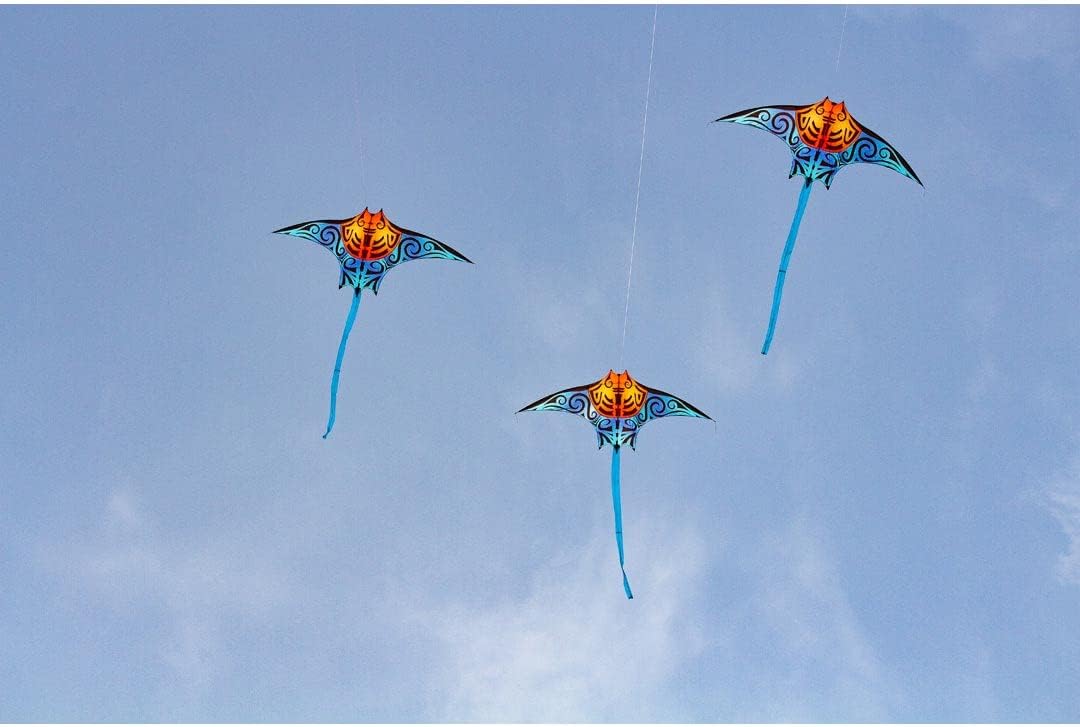 HQDragonfly Kite