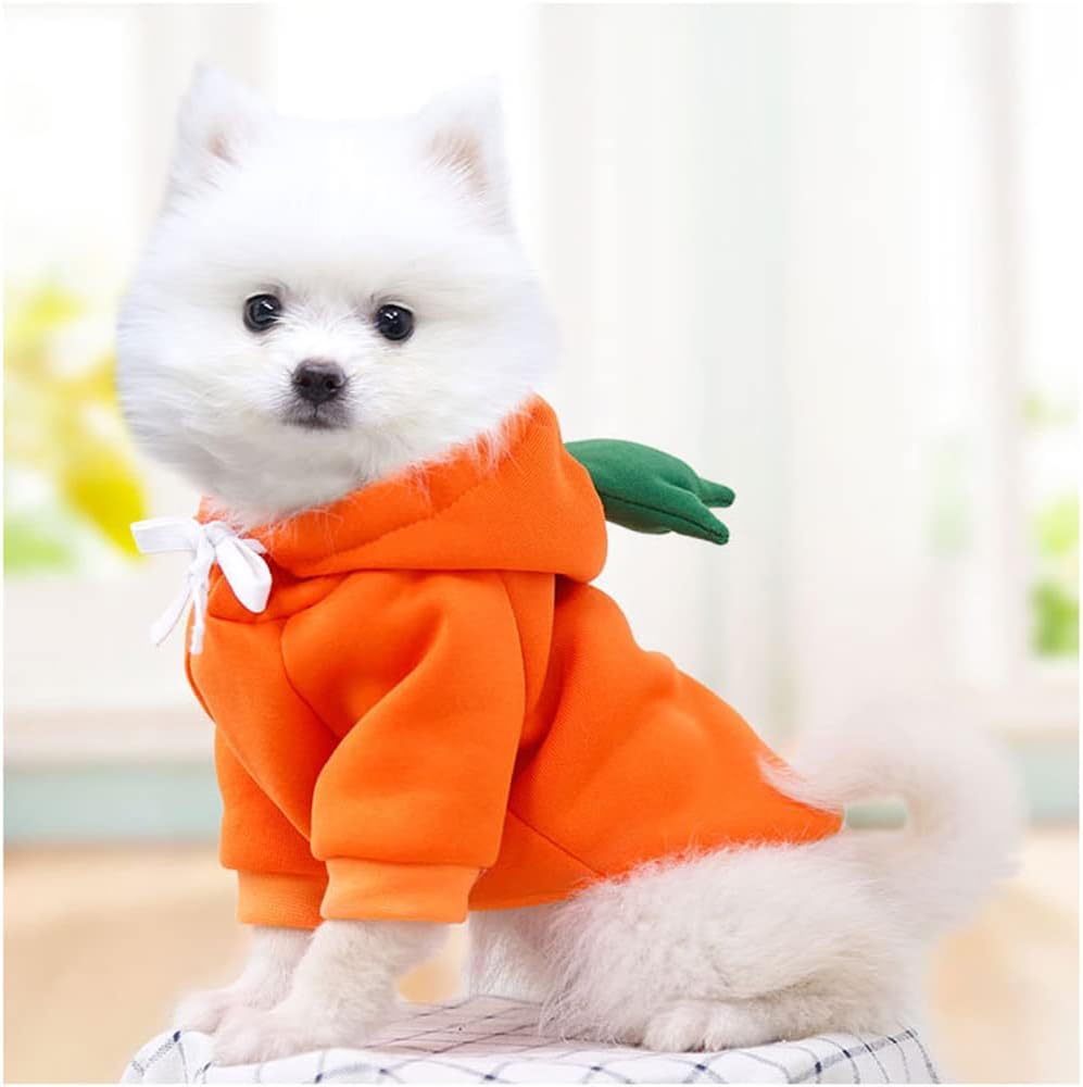 Disfraces de Navidad para perros, Halloween, sudaderas con capucha para perros pequeños, gatos, trajes de cachorro de gato, ropa Yorkie Chihuahua