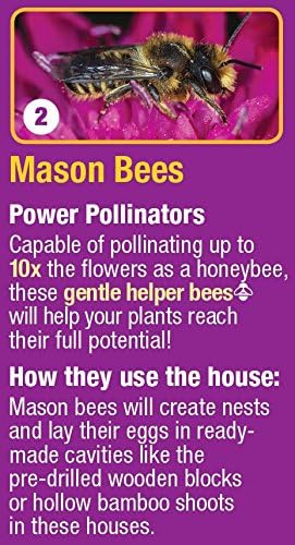 Nature’s Way Bird Products 066465 Cwh8 Deluxe Insect House