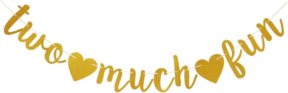 Two Much Fun Banner, Fun Sign for Baby’sKid’sBoy’sGirl’s 2nd Birthday Party Supplies, Gold Birthday Party Decorations
