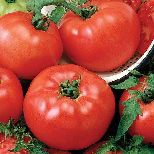 Park Seed s Chef’s Choice Red Tomato Hybrid, paquete de 30 semillas