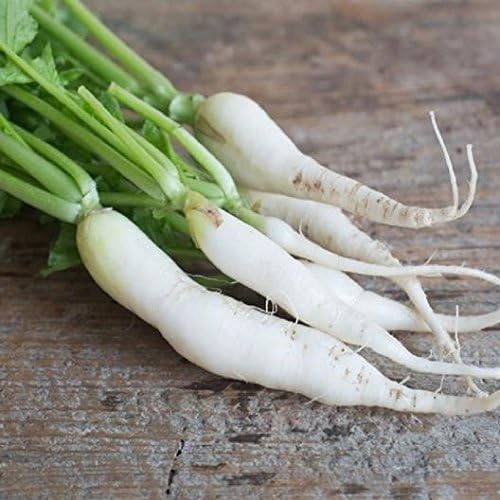 Semillas de rábano japonés Minowase Daikon para plantar, más de 100 semillas tradicionales por paquete, semillas de jardín de Isla (semillas de