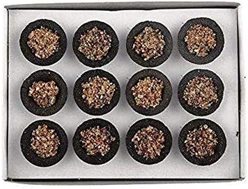 Herbal Sambrani Loban Dhoop Guggal – Taza de incienso (12 tazas, 1 caja)