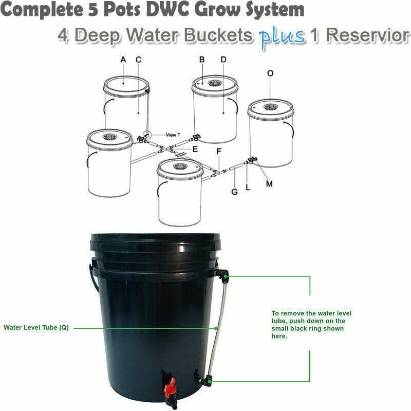 Sistema hidropónico DWC, kit de sistema de cultivo hidropónico DWC de 5 galones y 5 cubos, kit de cultivo hidropónico que incluye bomba de aire de