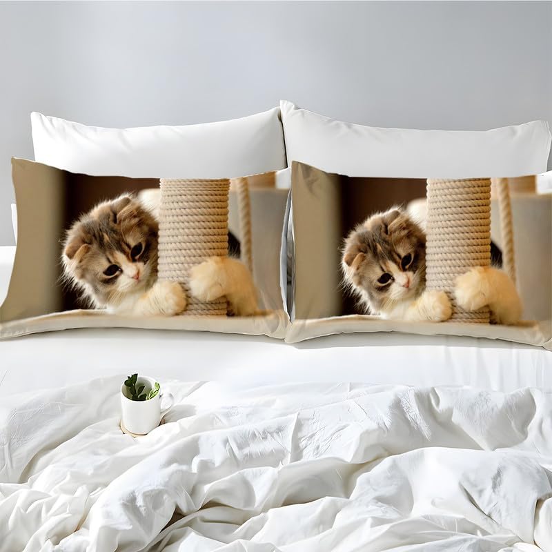 Apricot Kitten Duvet Cover Full Animal Print Bedding Sets Full Soft Microfiber Comforter Cover and 2 Pillow Shams 20″X26″, Bed Set Duvet Covers with