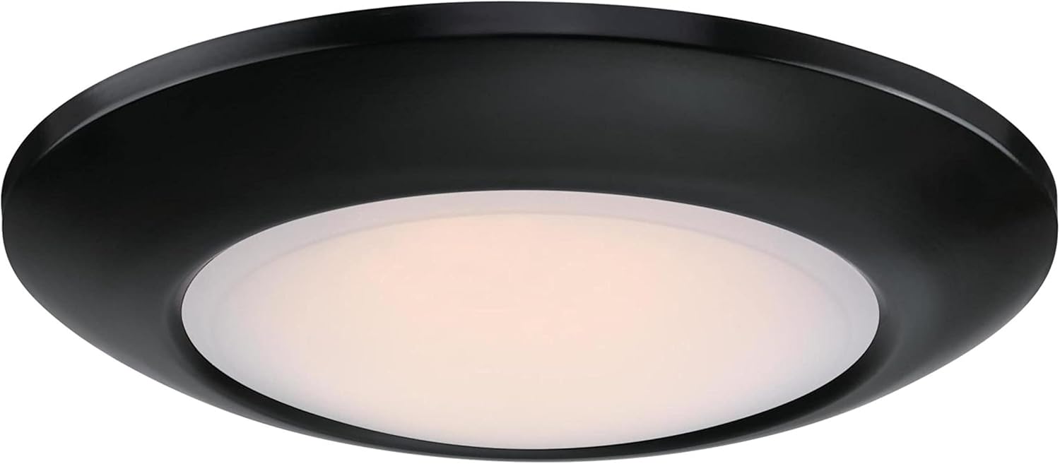 Westinghouse Lighting 6120200 Makira – Lámpara tradicional de una sola luz, 11 pulgadas, 20 W, regulable, LED, para interiores y exteriores, con