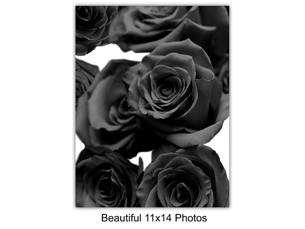 Glam Fashion Positive. Quote Art 11×14 – Designer Wall Decor for Women – Classy Couture Design Home Decor – Bedroom Living Room Bathroom – Luxury