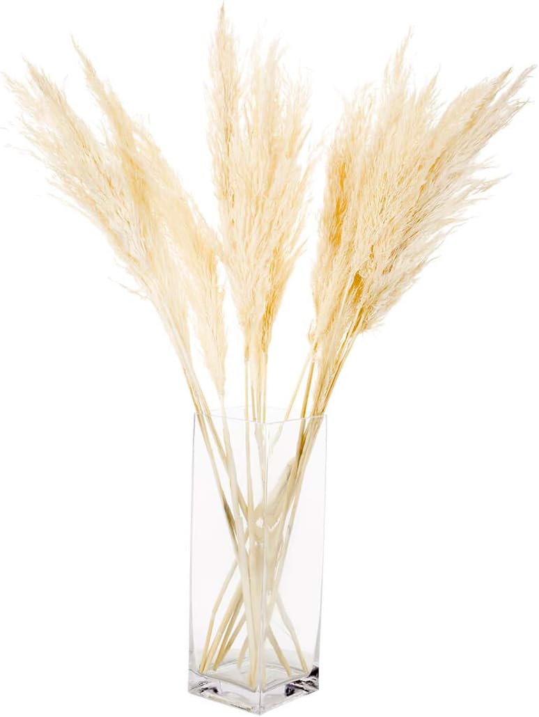 Koyal Wholesale Plumas decorativas de hierba de las pampas secas reales, 28-32 pulgadas, color blanco, a granel de 96 piezas de tallos de plantas de