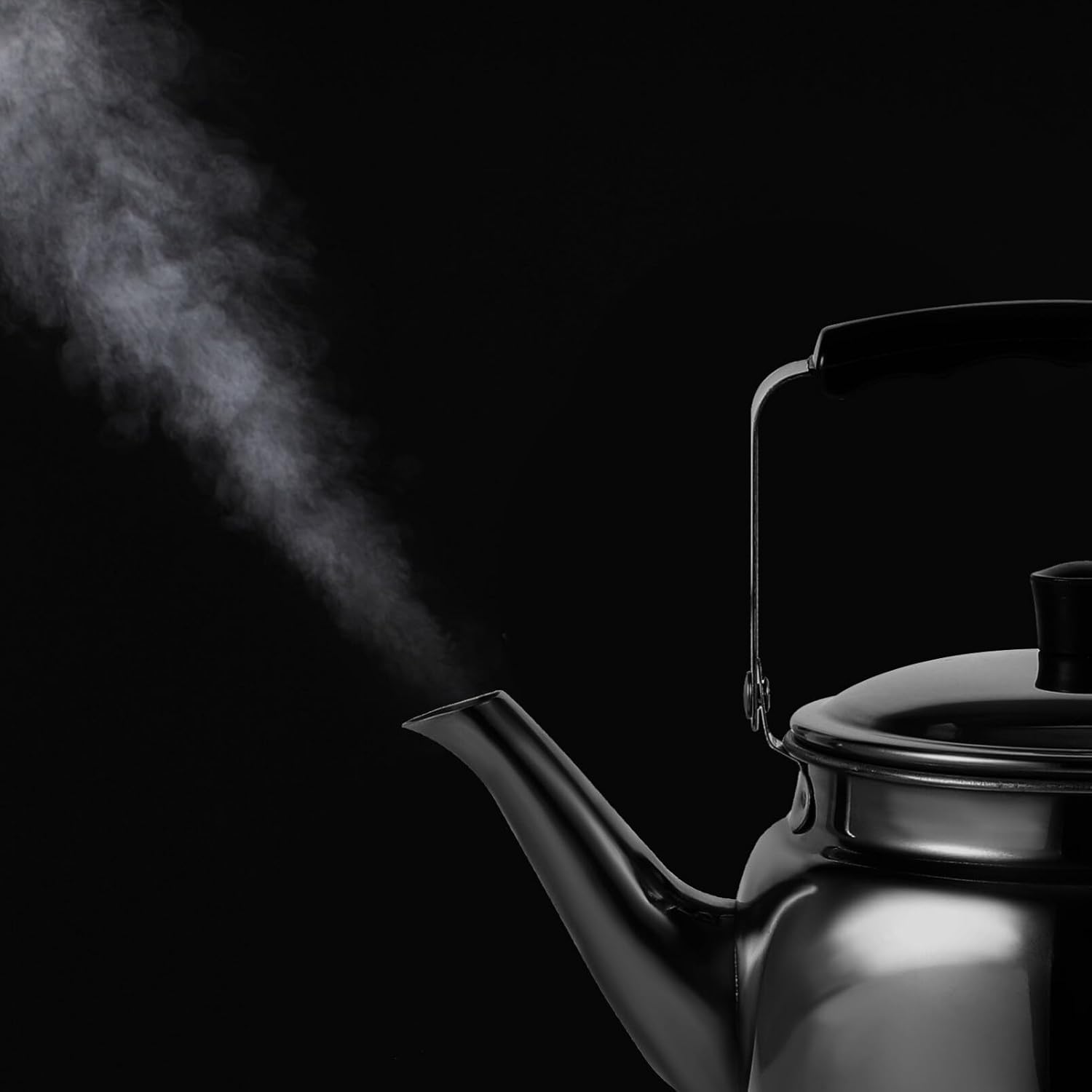 HEMOTON Hervidor de té silbante de acero inoxidable, 1 l, caldera de agua, tetera de fondo plano, adecuada para hervir agua en estufa de inducción,