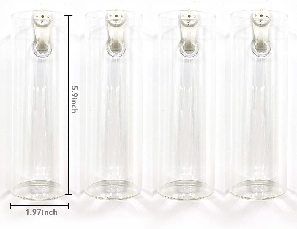 Macetas de pared para plantas de interior, macetas de terrario colgantes de pared, macetas de pared de vidrio para arreglos florales, soporte para