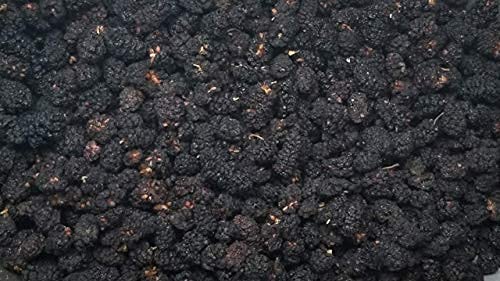 Presto Sales LLC – Moras frescas secas negras  Sin azúcar añadido, delicioso, calidad, vegano, fácil de usar, aperitivo, saludable, ingrediente,