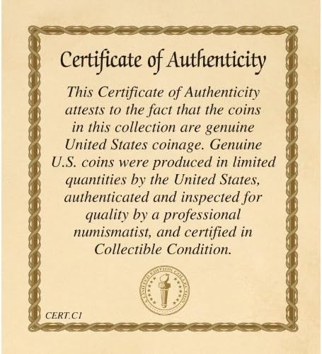 Indian Head Penny Coin Peine para el pelo  Moneda original de Estados Unidos de un centavo  Accesorio de peinado  Certificado de autenticidad,