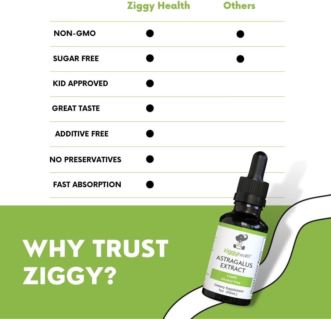 Ziggy Health – Gotas de tintura líquida con extracto de raíz de astrágalo, mezcla de hierbas, apoyo inmunológico, salud corporal, vegano, sin