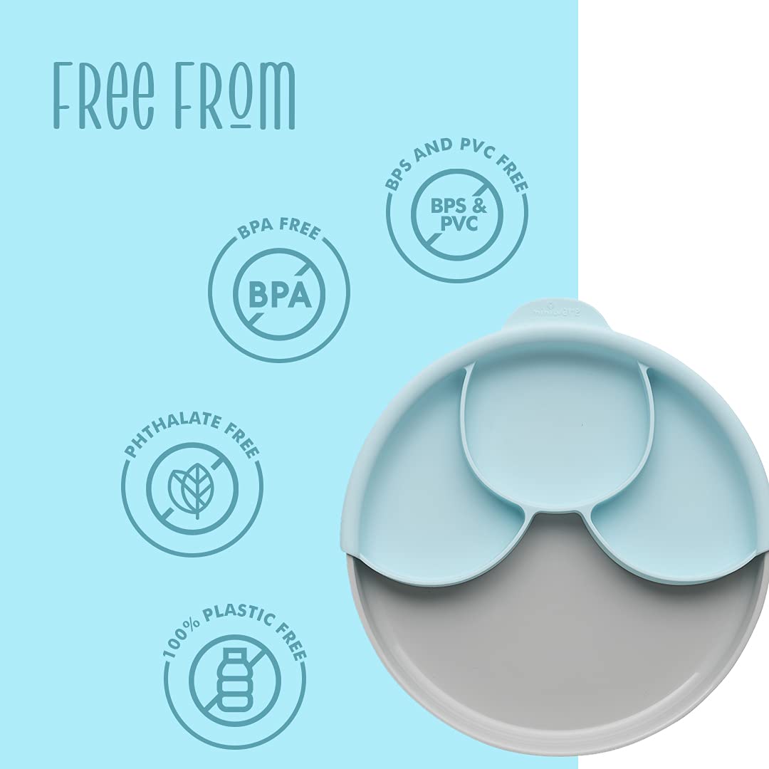Miniware Juego de comida saludable con plato sándwich, divisor y pie de succión desmontable para bebés y niños pequeños, promueve la