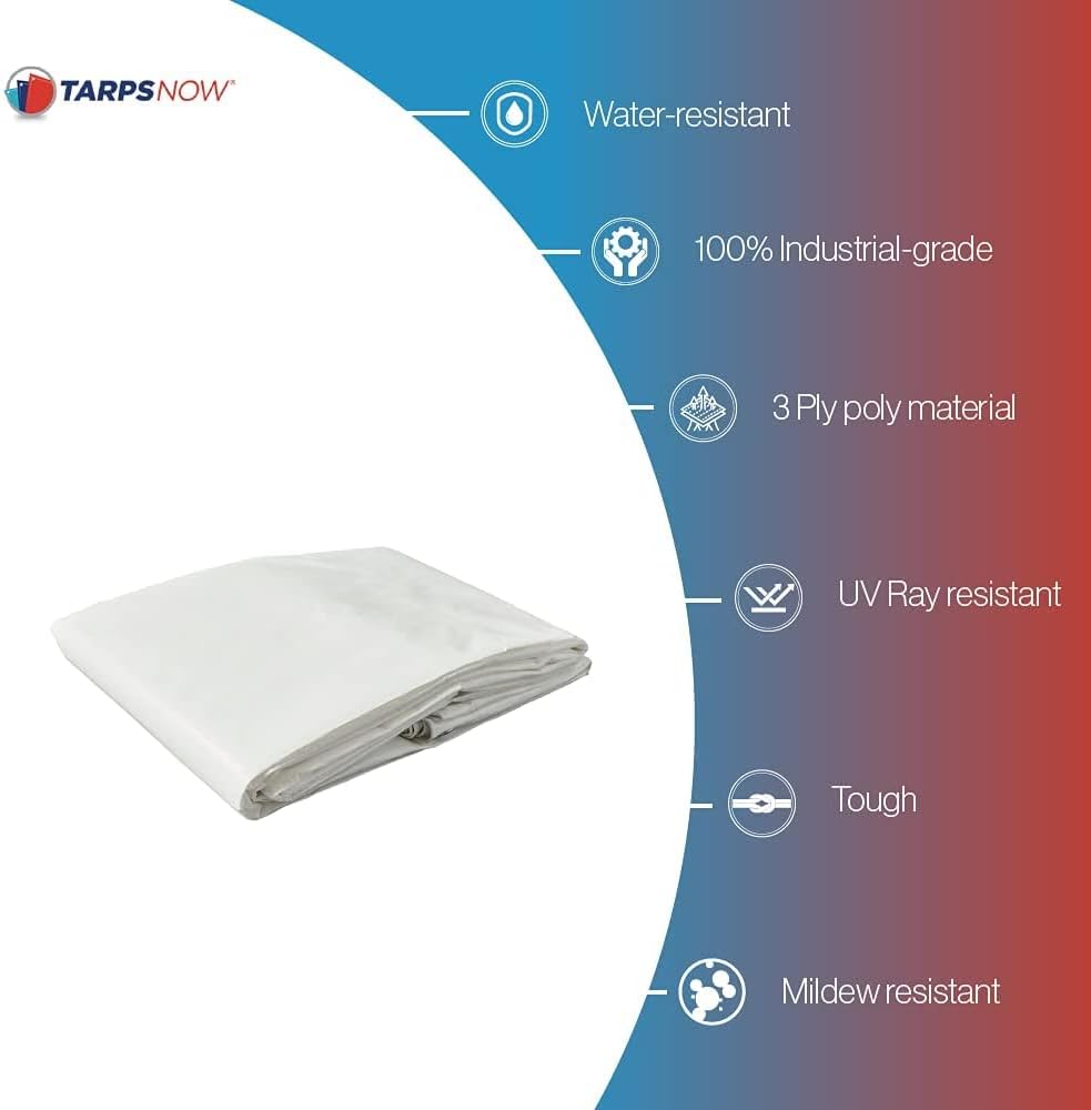 Tarps Now Lonas de polietileno impermeables resistentes (10 x 14 pies) con ojales de aluminio para interiores y exteriores, cubierta de lona