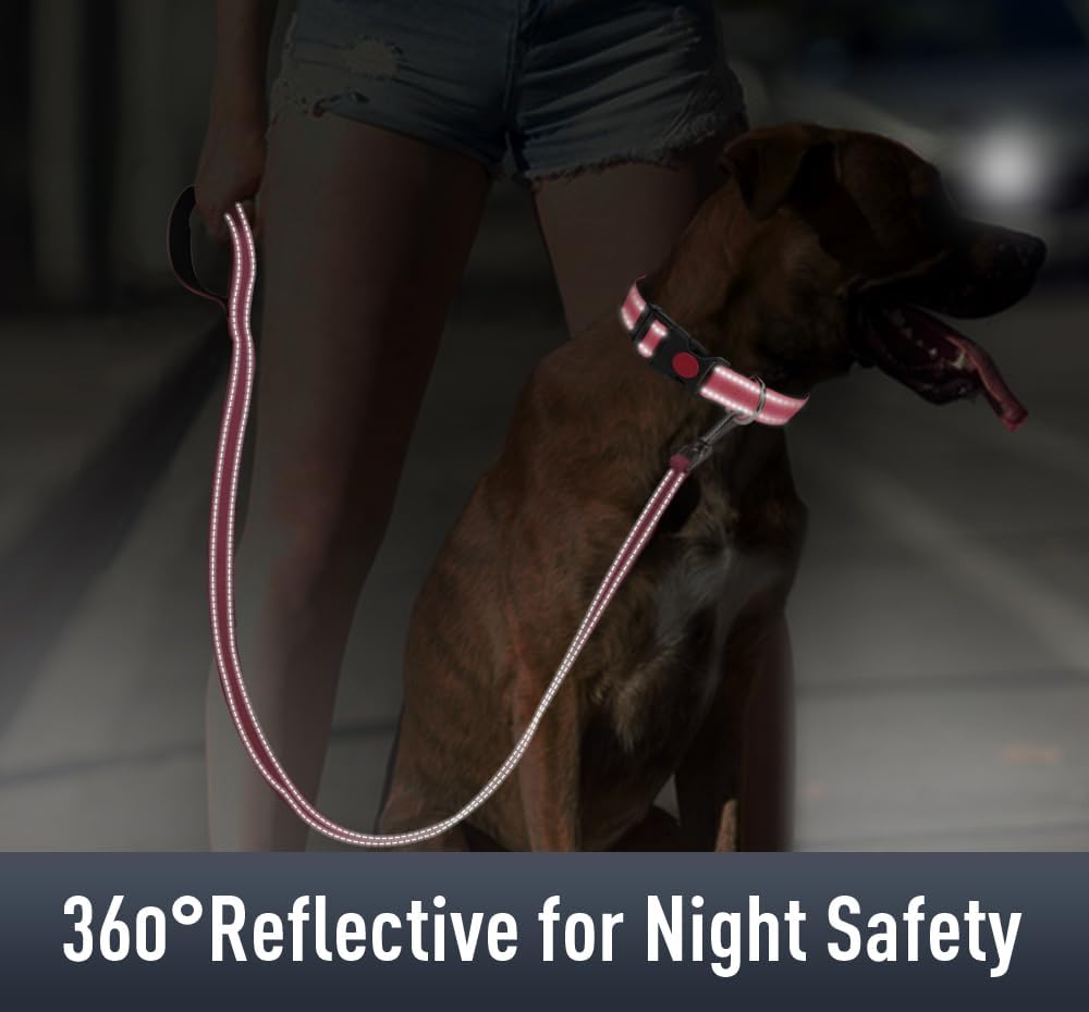 Airtag – Collar de perro para cachorros, collares reflectantes con soporte AirTag, hebilla de bloqueo de seguridad y acolchado suave, collar de