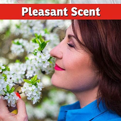 I Must Garden – Repelente de ciervos especial concentrado de 32 onzas + 32 onzas en aerosol listo para usar – Aroma natural a menta