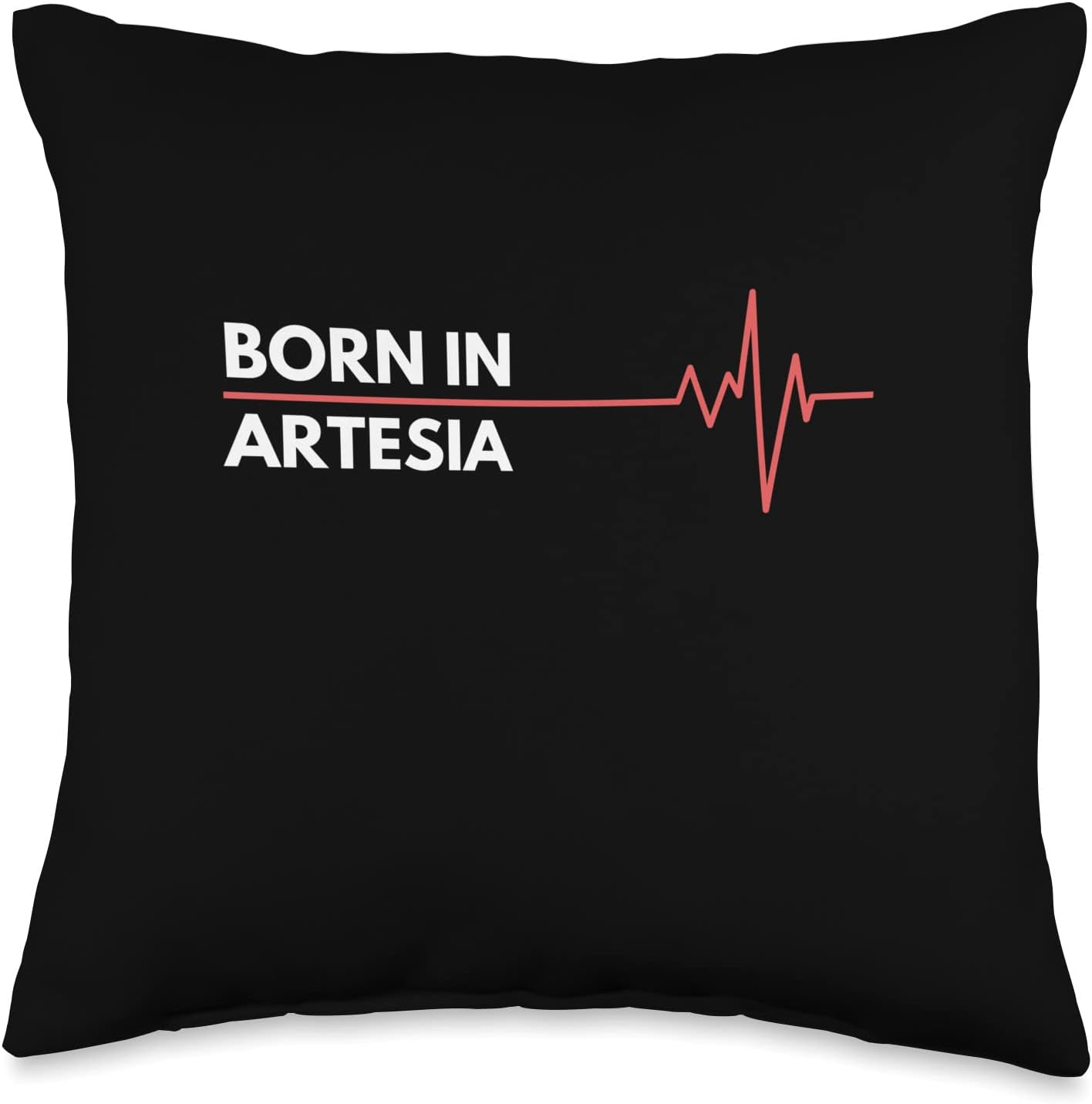 Made In Artesia New Mexico Co. Inc. Made in Artesia New Mexico City of Birth Birthplace – Almohada de 16 x 16 pulgadas, multicolor