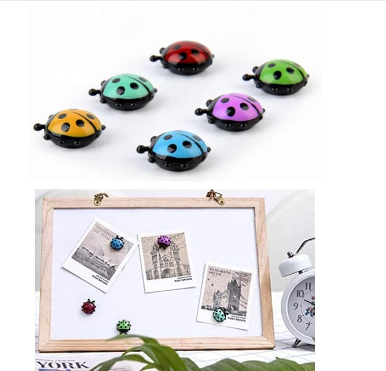 HLLMX – 12 imanes de mariquita para refrigerador, imanes de cocina, oficina, para cocina, escuela, aula, casillero para niños y niñas, fotos de